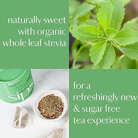 Grace Farms Herbal Tee | Naturally Sweet, Healthy and Caffeine Free | Organic, Fair Trade and Kosher Certified | Organic Whole Leaf Stevia | Gives Back 100% of Profits (Variety Pack) 74722499